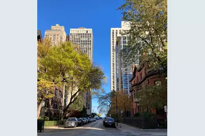 29 E Scott Street, Chicago, IL 60610 - Photo 13