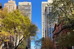 29 E Scott St, Chicago, IL 60610 - Photo 13