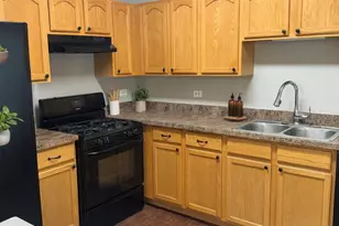 1256 N Split Oak Cir, Round Lake Beach, IL 60073 - Photo 3