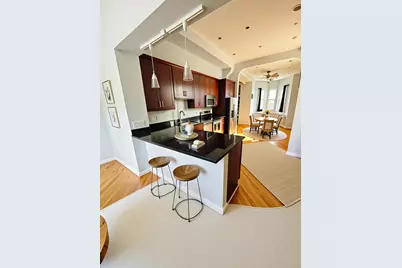 2058 W Washington Boulevard, Chicago, IL 60612 - Photo 7