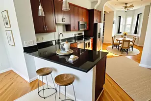 2058 W Washington Blvd, Chicago, IL 60612 - Photo 7