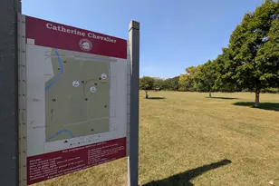 8735 W Catherine Ave, Chicago, IL 60656 - Photo 75