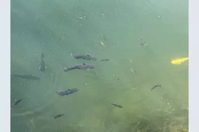 225 Fossil Cove Lane, Wilmington, IL 60481 - Photo 37