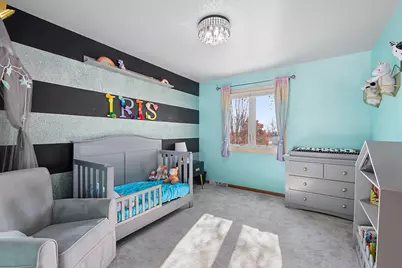 317 Francis Court, Manhattan, IL 60442 - Photo 17