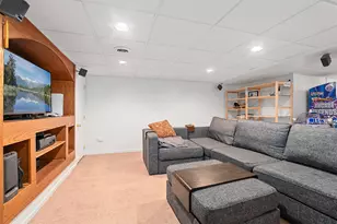 317 Francis Ct, Manhattan, IL 60442 - Photo 23