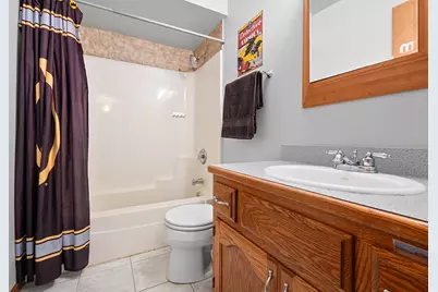 317 Francis Court, Manhattan, IL 60442 - Photo 19