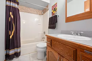 317 Francis Ct, Manhattan, IL 60442 - Photo 19