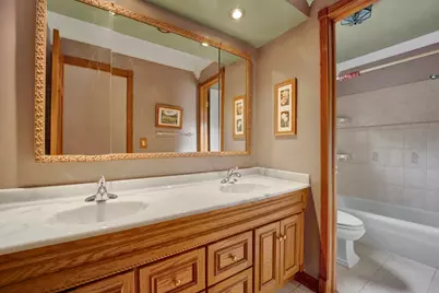 823 N Harrow Court, Addison, IL 60101 - Photo 19