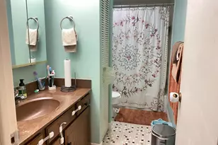 11210 Sycamore Ln, Palos Hills, IL 60465 - Photo 7