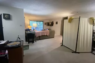 11210 Sycamore Ln, Palos Hills, IL 60465 - Photo 9