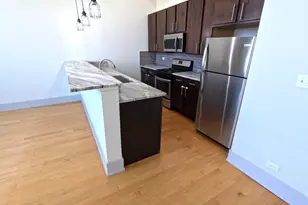 1432 W 21st St, Chicago, IL 60608 - Photo 15