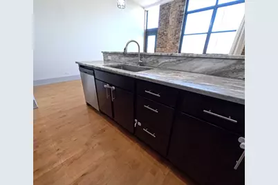 1432 W 21st Street #321, Chicago, IL 60608 - Photo 13