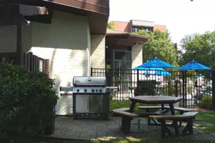 125 Acacia Cir, Indian Head Park, IL 60525 - Photo 29