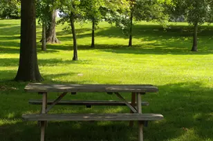 125 Acacia Cir, Indian Head Park, IL 60525 - Photo 33