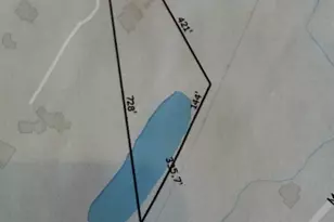 1110 Lakeside Dr, New Lenox, IL 60451 - Photo 63