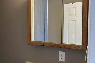 [Address not provided], Lamoille, IL 61330 - Photo 17