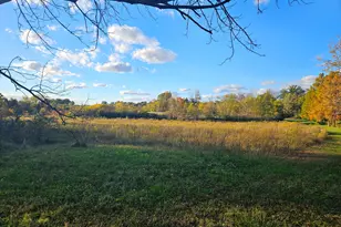 24128 S Harlem Ave, Frankfort, IL 60423 - Photo 51