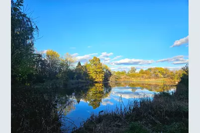 24128 S Harlem Avenue, Frankfort, IL 60423 - Photo 55