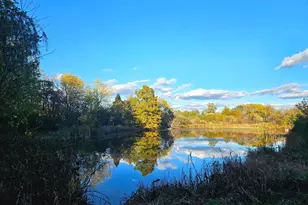 24128 S Harlem Ave, Frankfort, IL 60423 - Photo 55