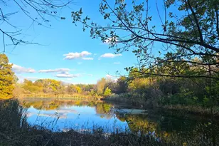 24128 S Harlem Ave, Frankfort, IL 60423 - Photo 53