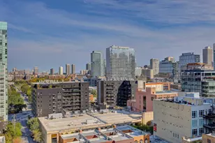 451 W Huron St, Chicago, IL 60654 - Photo 21