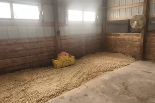 6079 Manchester Rd, Poplar Grove, IL 61065 - Photo 23