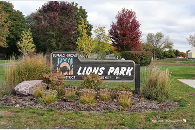 820 Weidner Road #401, Buffalo Grove, IL 60089 - Photo 25