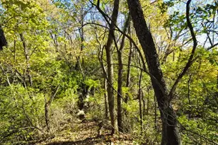 710 Short St, Streator, IL 61364 - Photo 43