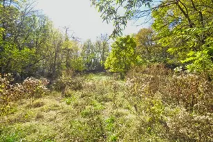 710 Short St, Streator, IL 61364 - Photo 47