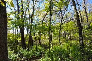 710 Short St, Streator, IL 61364 - Photo 55