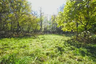 710 Short St, Streator, IL 61364 - Photo 59