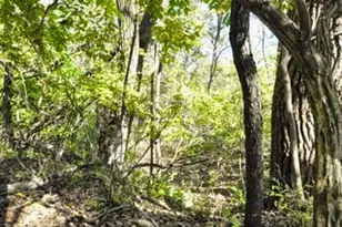 710 Short St, Streator, IL 61364 - Photo 53