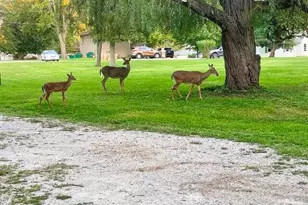 710 Short St, Streator, IL 61364 - Photo 33