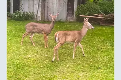 710 Short Street, Streator, IL 61364 - Photo 29