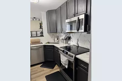 1460 N Sandburg Terrace #501, Chicago, IL 60610 - Photo 21