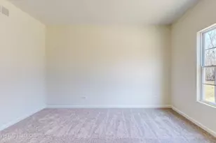 593 Farm St, Crete, IL 60417 - Photo 13