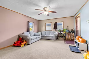 411 S Walnut Ave, Forreston, IL 61030 - Photo 9