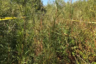 14 Alexandra Dr, Libertyville, IL 60048 - Photo 1