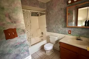 10 E Piper City St, Piper City, IL 60959 - Photo 15