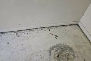 1647 Shirley Dr, Calumet City, IL 60409 - Photo 19