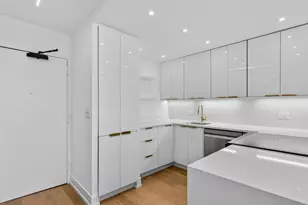 1455 N Sandburg Terrace, Chicago, IL 60610 - Photo 13