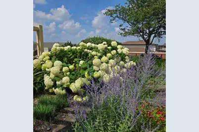 170 N Northwest Highway #410, Park Ridge, IL 60068 - Photo 35