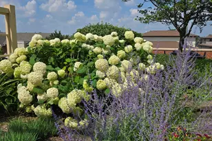 170 N Northwest Hwy, Park Ridge, IL 60068 - Photo 35