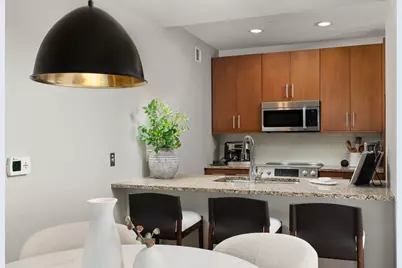 850 N Lake Shore Drive #201, Chicago, IL 60611 - Photo 17