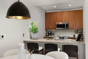 850 N Lake Shore Dr, Chicago, IL 60611 - Photo 17