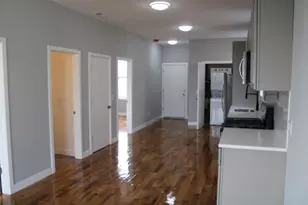 1533 S Ridgeway Ave, Chicago, IL 60623 - Photo 3