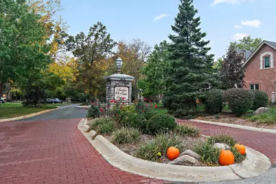 209 Linden Oaks Lane, New Lenox, IL 60451 - Photo 53