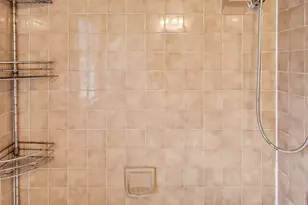 2537 S Scott St, Des Plaines, IL 60018 - Photo 11