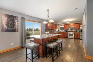 257 Pine St, Beecher, IL 60401 - Photo 5