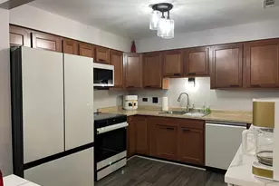 22453 Pleasant Dr, Richton Park, IL 60471 - Photo 13